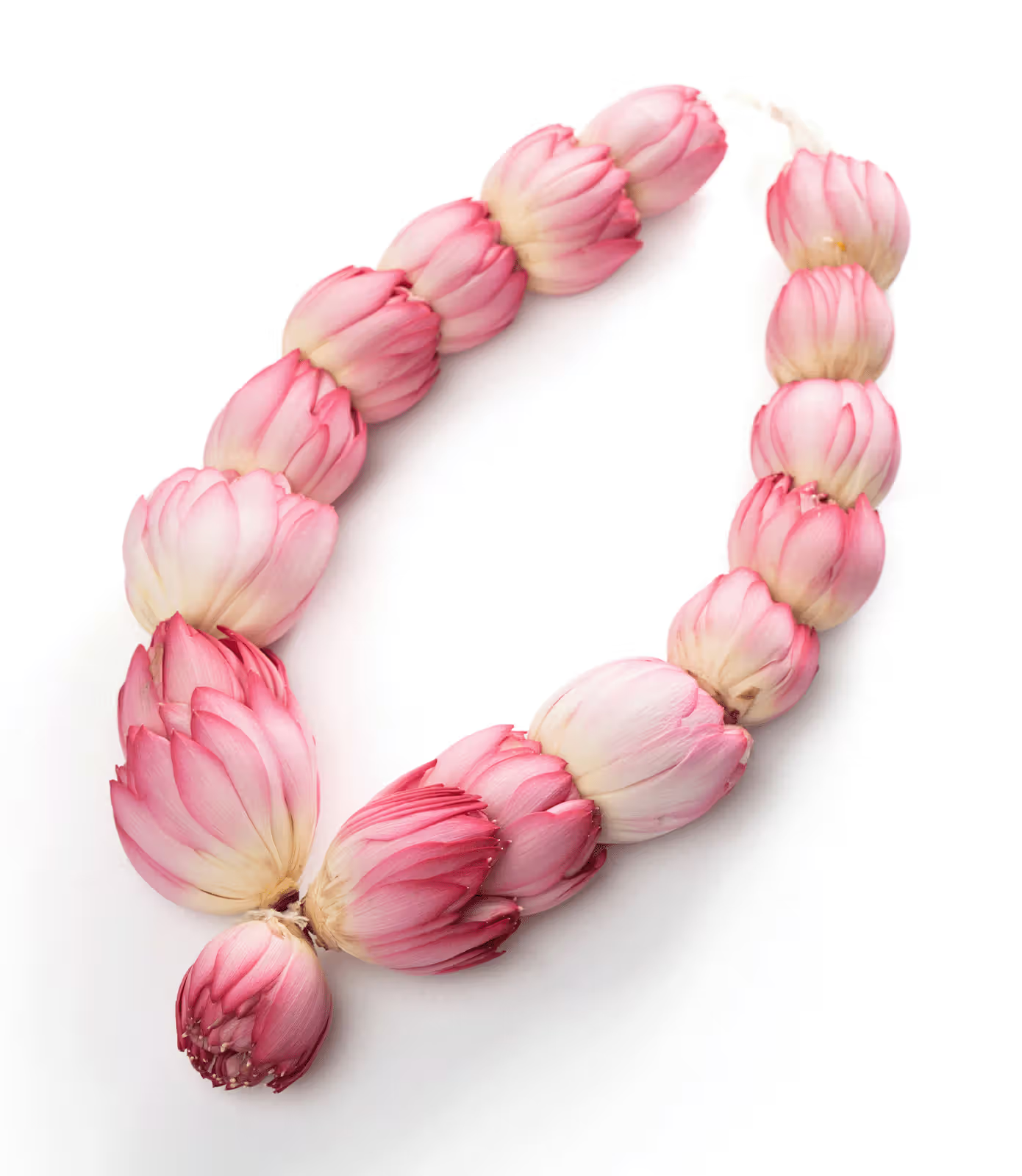 Fresh Lotus Garland